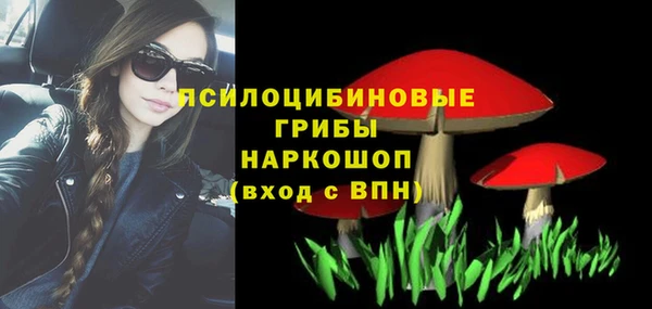 apvp Армянск