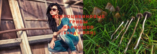 бошки Аркадак