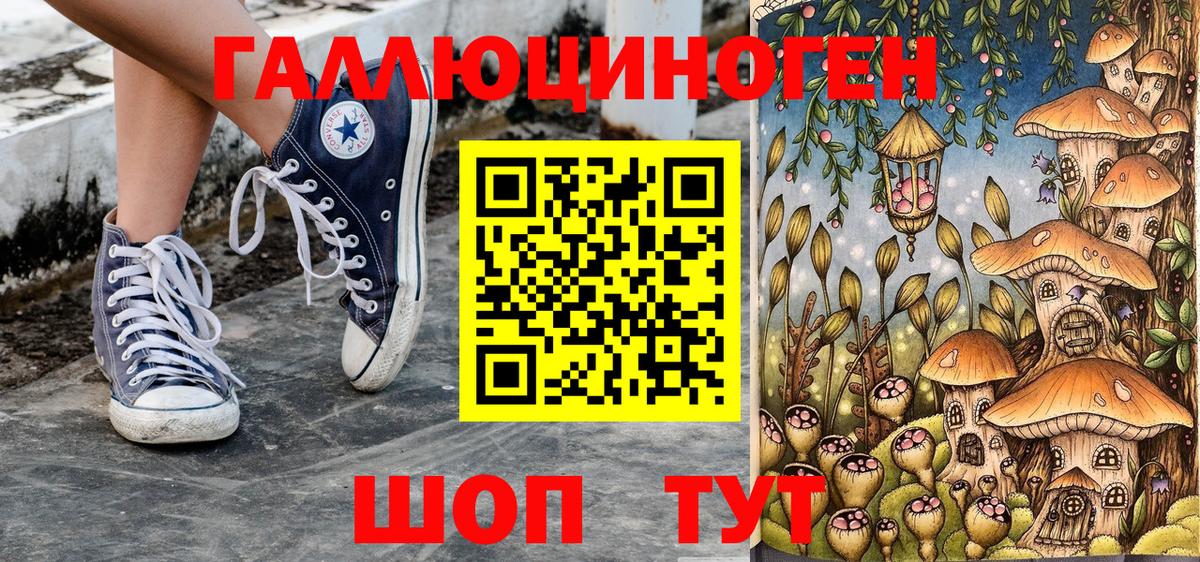 Псилоцибиновые грибы Psilocybine cubensis  Вход с VPN  Мурманск 