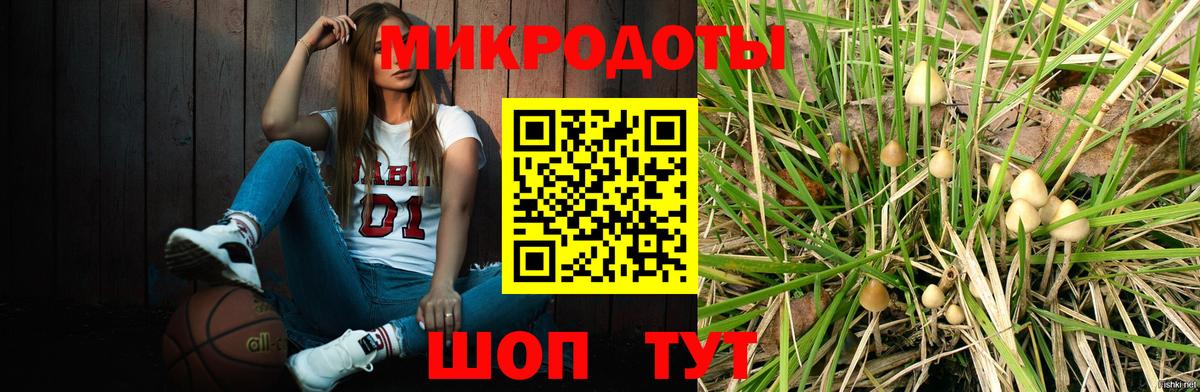 Галлюциногенные грибы прущие грибы  Вход с VPN  закладка  Мурманск 
