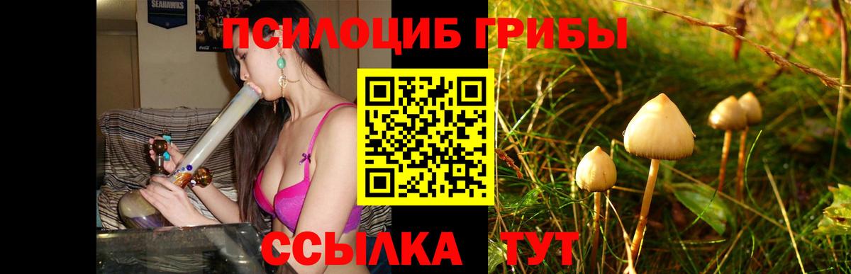 Галлюциногенные грибы MAGIC MUSHROOMS Мурманск